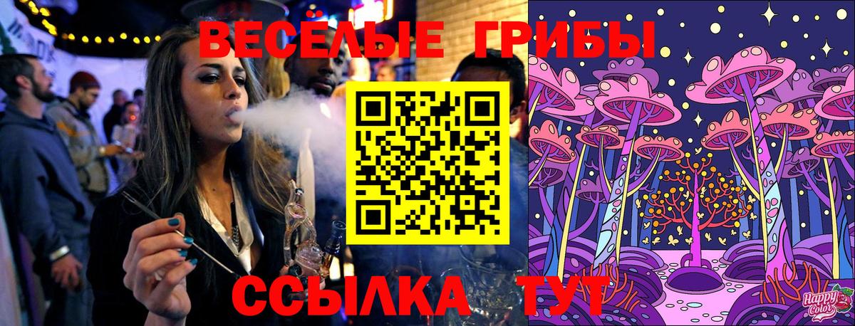 Псилоцибиновые грибы Psilocybine cubensis Белебей