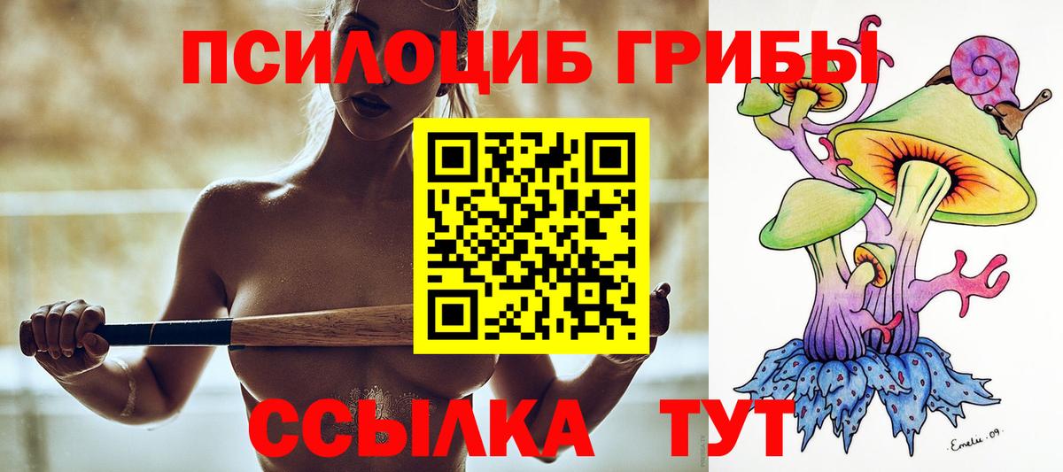 Белебей  Псилоцибиновые грибы Cubensis  Вход с VPN 